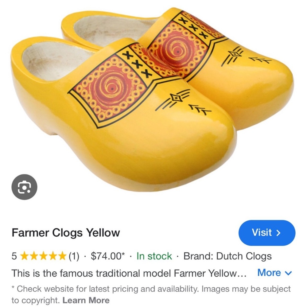 Dutch wooden clog/farmers shoes.